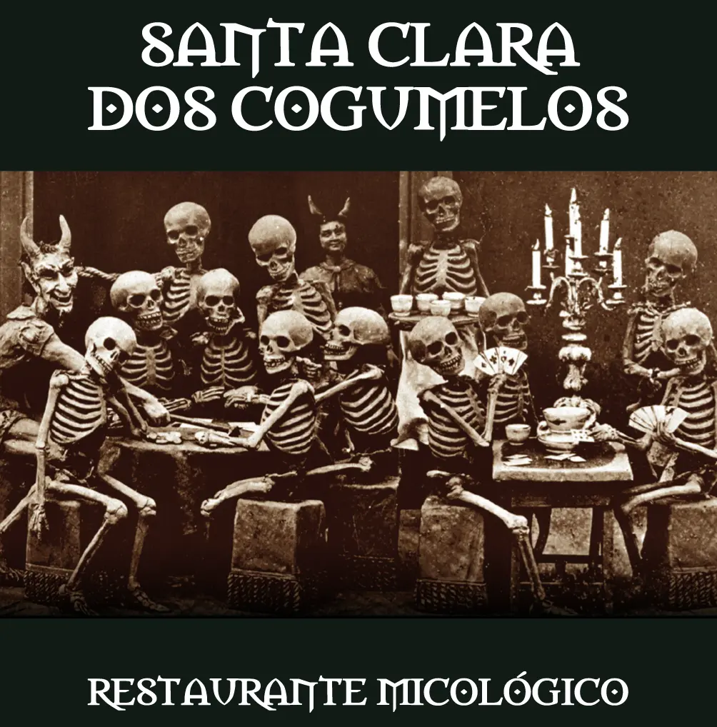 Montagem Santa Clara dos Cogumelos, restaurante micológico
